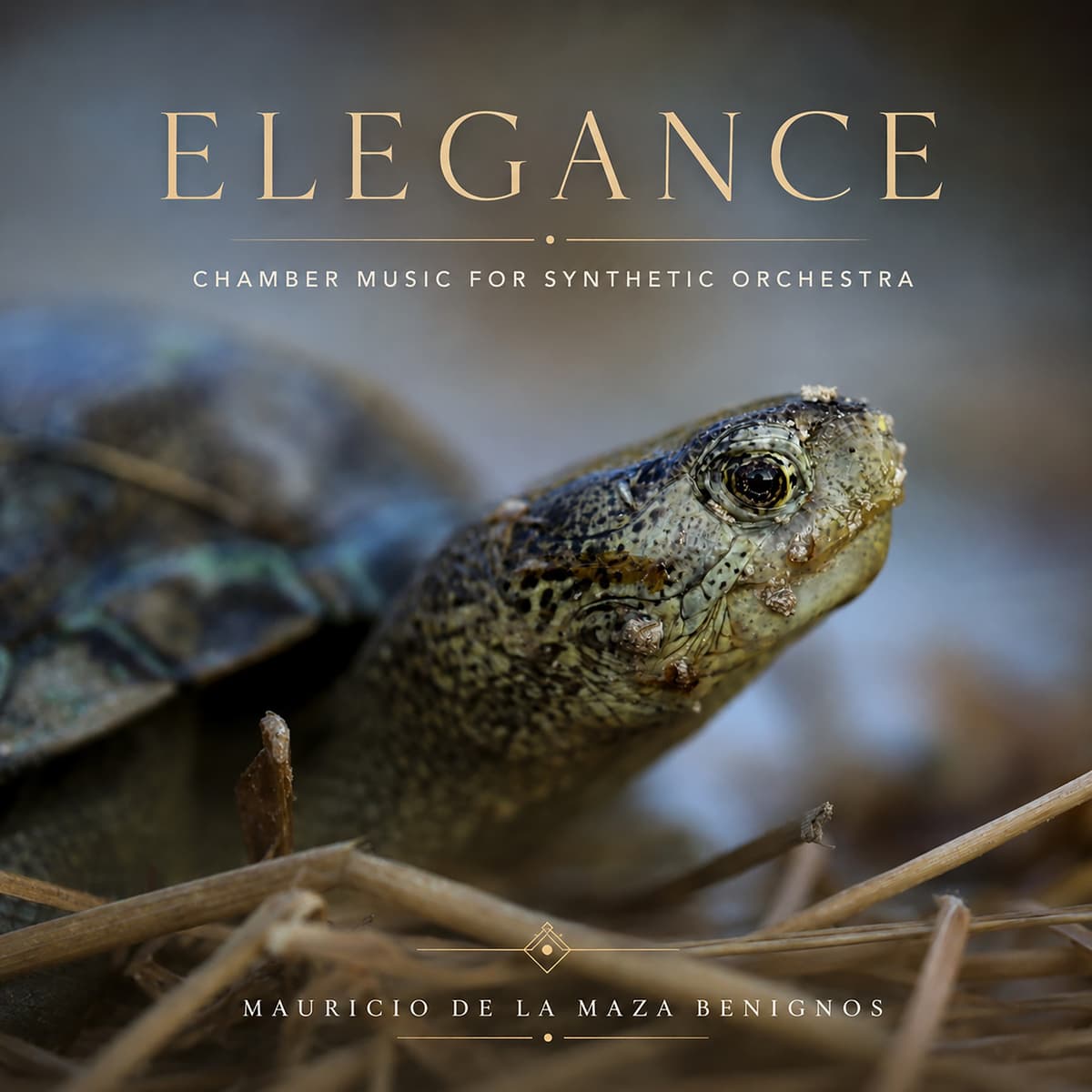 Elegance — Mauricio de la Maza Benignos