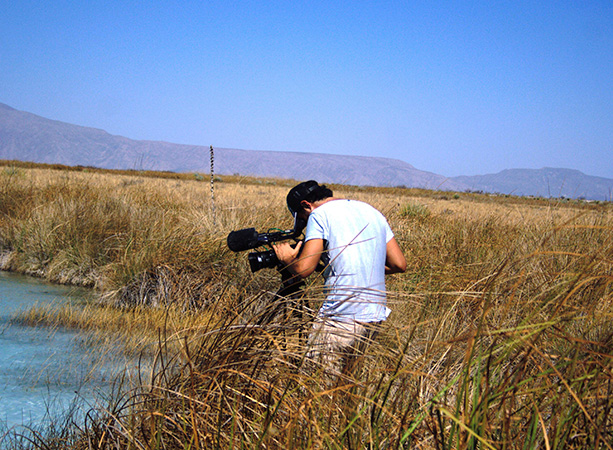 Cine de Ficción y Documental